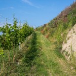 Landschaft am Kaisestuhl, Lenzenberg, Baden, Deutschland