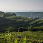 Landschaft am Kaisestuhl, Lenzenberg, Baden, Deutschland
