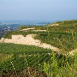 Landschaft am Kaisestuhl, Lenzenberg, Baden, Deutschland