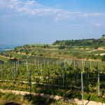 Landschaft am Kaisestuhl, Lenzenberg, Baden, Deutschland