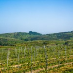 Landschaft am Kaisestuhl, Lenzenberg, Baden, Deutschland