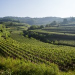 Landschaft am Kaisestuhl, Lenzenberg, Baden, Deutschland
