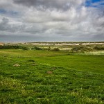 Landschaft bei Holmer Siel, Schleswig-Holstein