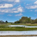 Landschaft im Katinger Watt, Schleswig-Holstein