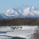 Landschaft Nemuro Region, Insel Hokkaido/Japan