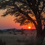 Kalahari-Sonnenuntergang