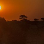 Dämmerung in der Kalahari