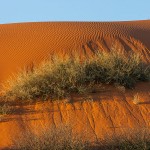 Kalahari-Rote Erde