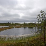 Hällefors-Knutsjödmossen