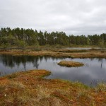 Hällefors-Knutsjödmossen