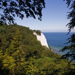 Jasmund Nationalpark Kreidefelsen