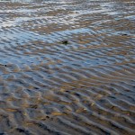 Ebbe im Wattenmeer