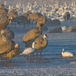 Erste Sonnenstrahlen