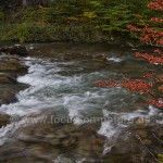 Flusslauf bei El Chalten