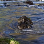 Fluss bei El Chalten