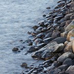 Lago Capri am Fitz Roy