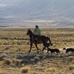 Gaucho- Inbegriff von Freiheit und Abenteuer