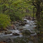 Flusslauf bei El Calafate