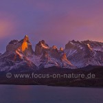 Cuernos del Paine im Torres del Paine NP