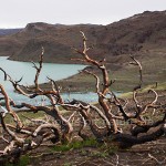 Blick zum Lake Pehoe