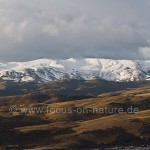 Landschaft im Torres del Paine NP