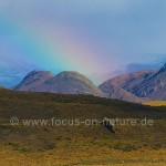 Landschaft im Torres del Paine NP