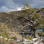Landschaft beim Lago Pehoe
