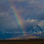 Lago Nordenskjöld im Torres del Paine NP