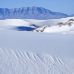 Im Hintergrund die Sacramento Mountains