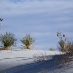 White Sands Gipswüste in New Mexico USA