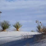 White Sands Gipswüste in New Mexico USA