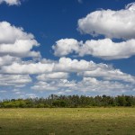 Hutchinson Island, Florida