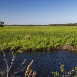 Lake Woodroff National Wildlife Refuge, Florida