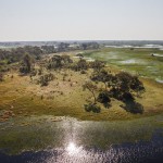 Okawango-Delta, Botswana