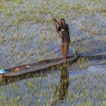 Auf dem Einbaum im Okawango-Delta, Botswana