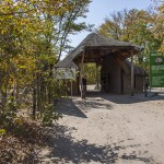 Eingang South Gate Moremi Game Reserve, Okawango-Delta, Botswana