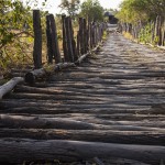 Brücke zum North Gate im Moremi Game Reserve, Okawango-Delta, Botswana