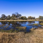 Botswana, Moremi Game  Reserve, Okawango-Delta