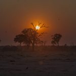 Sonnenuntergang Chobe National Park