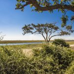 Kasane Forest Reserve, Botswana