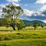 Umgebung von Texa, Bulgarien