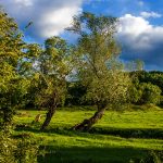 Umgebung von Texa, Bulgarien