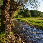Landschaft bei Texa , Bulgarien