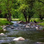 Umgebung von Texa, Bulgarien
