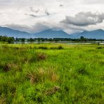 Landschaft bei Texa , Bulgarien