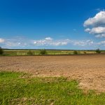 Rumänien-Landschaft bei Murighiol