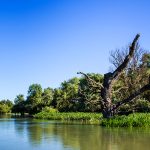Donaudelta in Rumänien