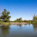 Donaudelta in Rumänien