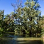 Donaudelta in Rumänien