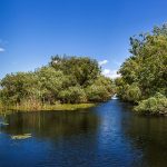 Donaudelta in Rumänien